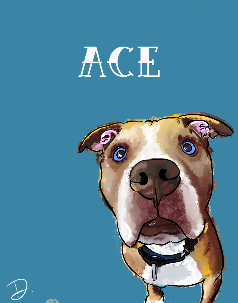 Pit Bull Ace Portrait REPRINT