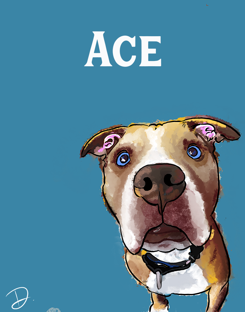 Pit Bull Ace Portrait REPRINT