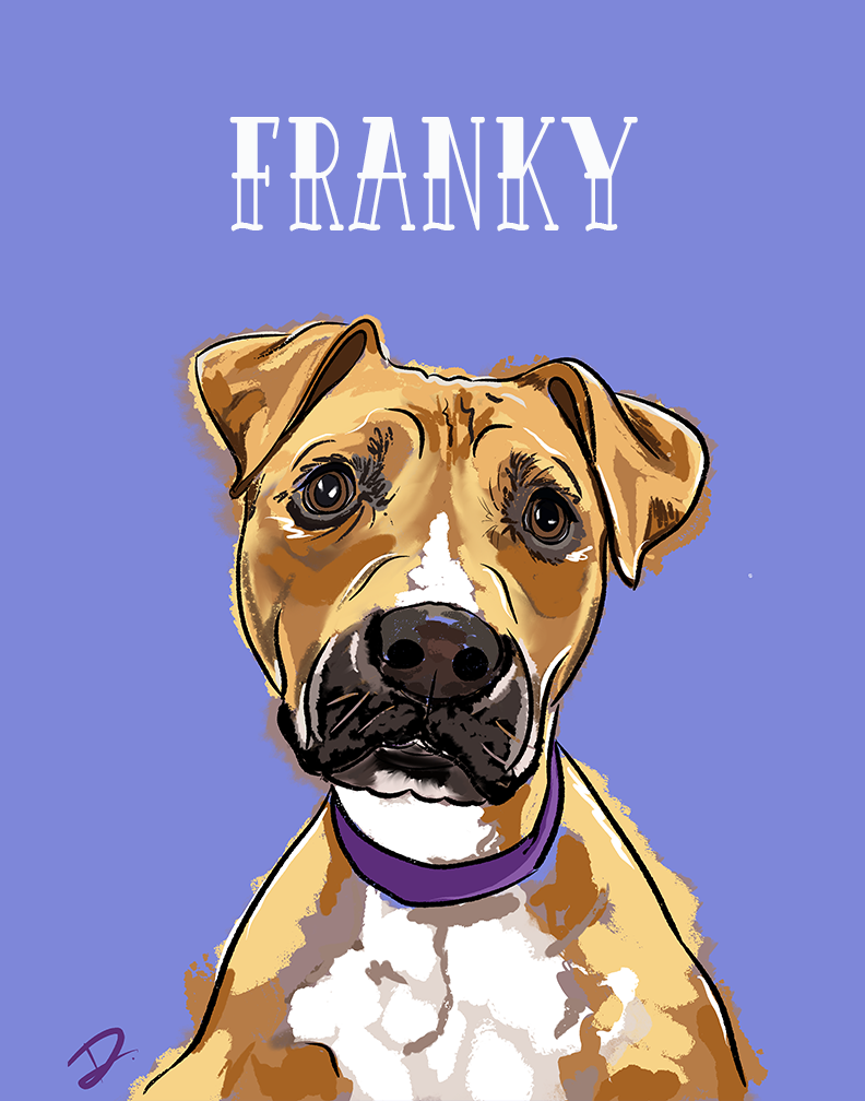 Shepherd Franky Portrait REPRINT