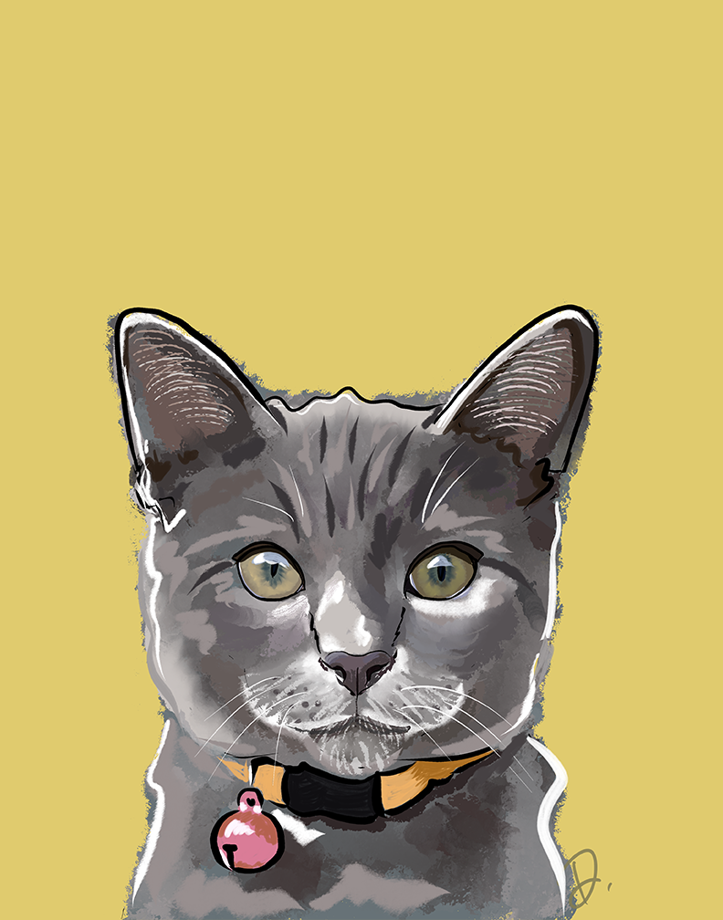 Gray Domestic Shorthaired Cat Mac Portrait Reprint