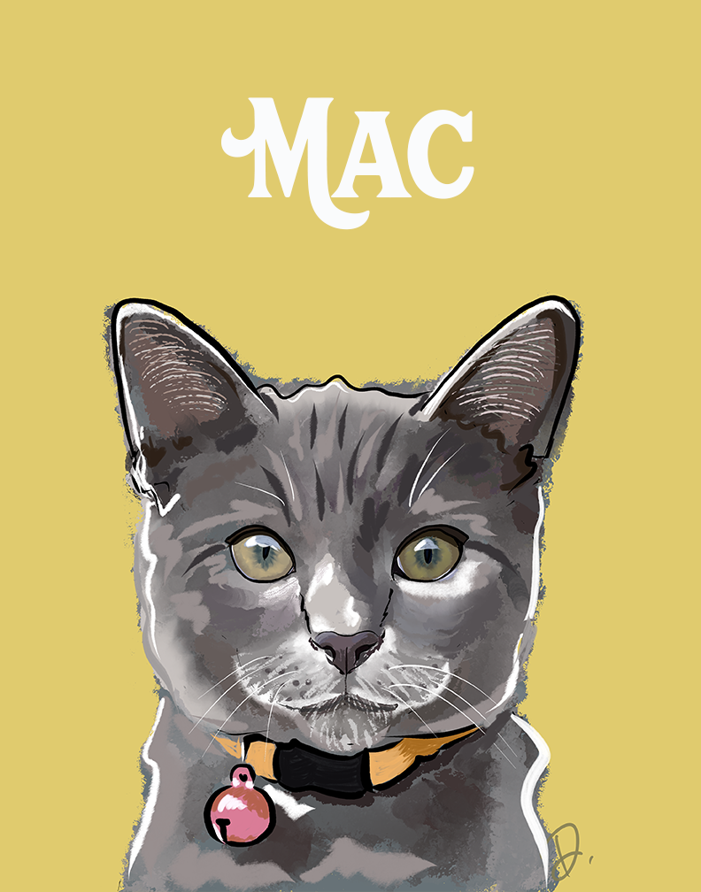 Gray Domestic Shorthaired Cat Mac Portrait Reprint