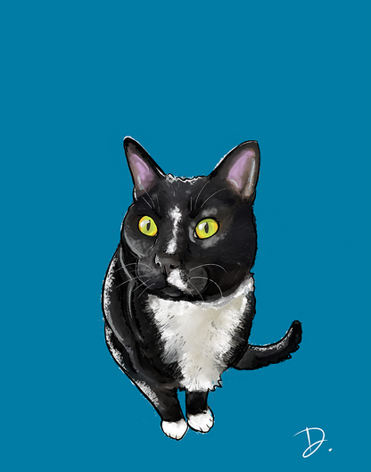 Tuxedo Domestic Shorthaired Sylvester Portrait REPRINT