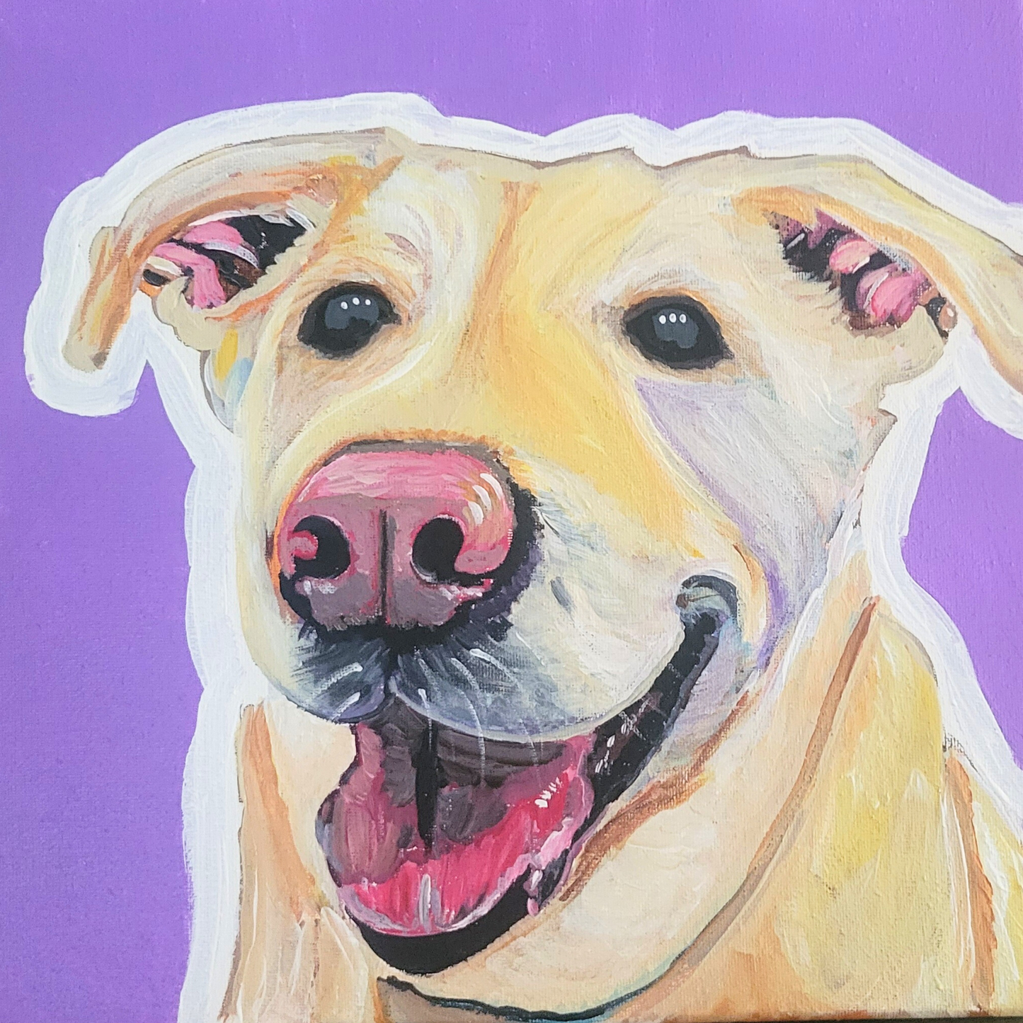 Custom Hand-Painted Pet Portraits - Acrylic on Canvas