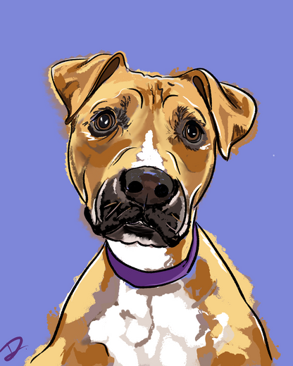 CUSTOM Hand-Illustrated Pet Portrait