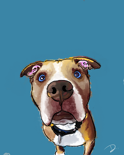 CUSTOM Hand-Illustrated Pet Portrait